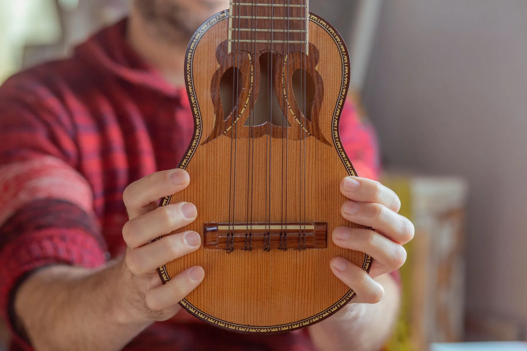 small stringed instrument held in hand